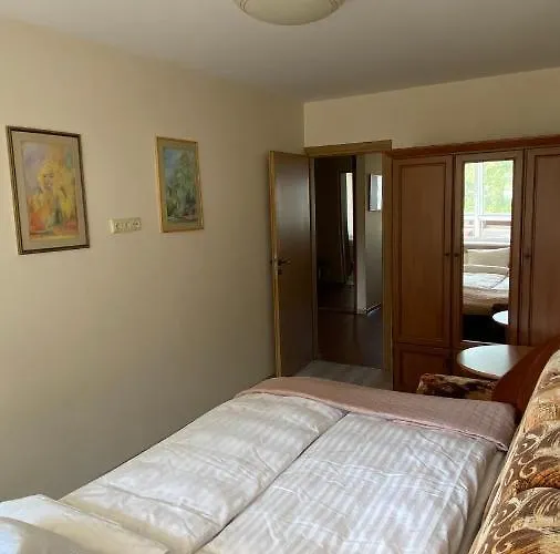 Apartamentai Vytauto 16 Druskieniki